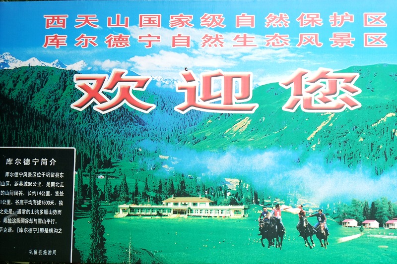 2dscf5191.jpg