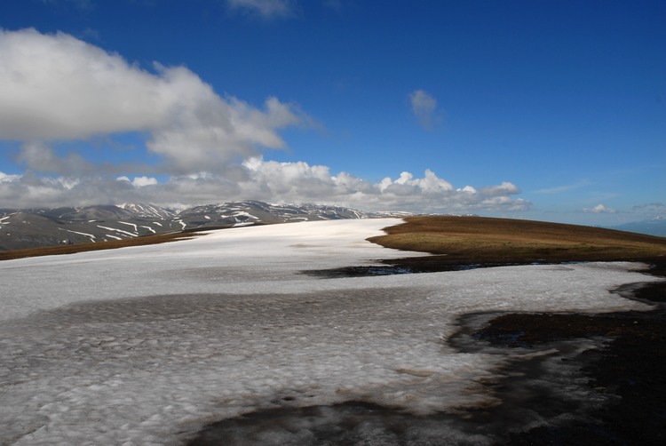 dsc_0920.jpg
