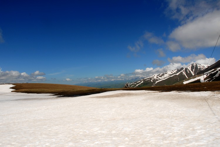 dsc_0925.jpg
