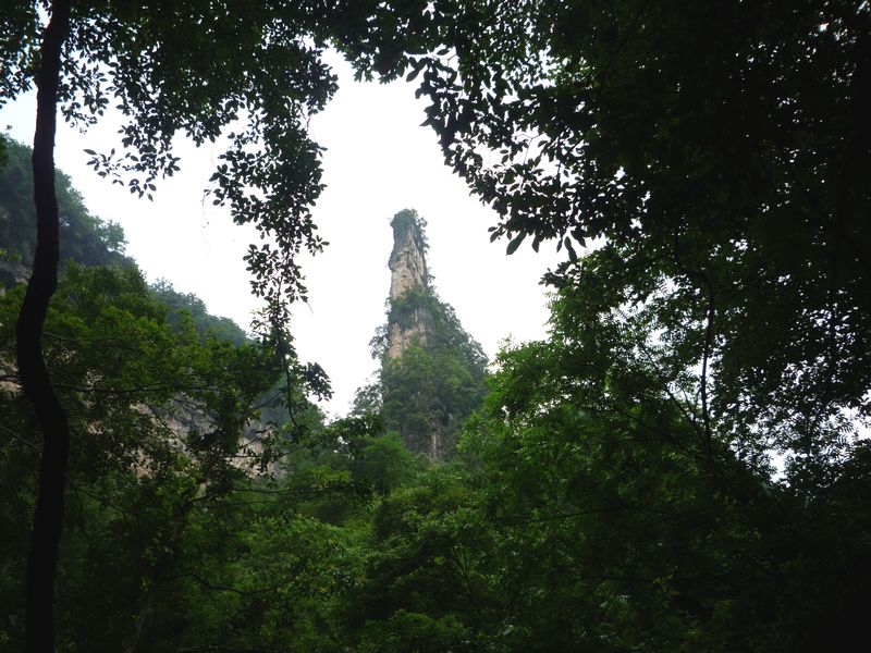p1040010.jpg