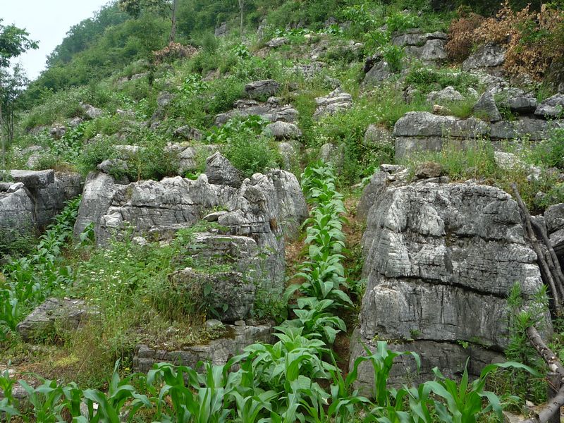 p1040010.jpg