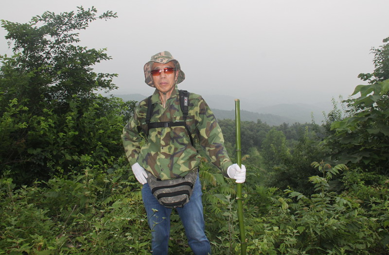 2010662601.jpg