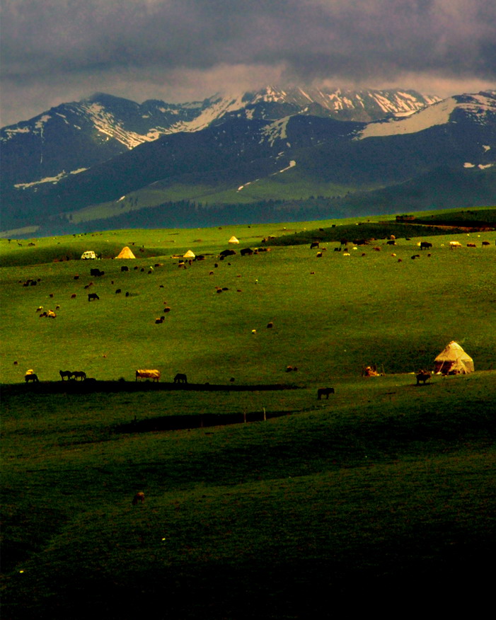 dsc_9535.2_СС.jpg