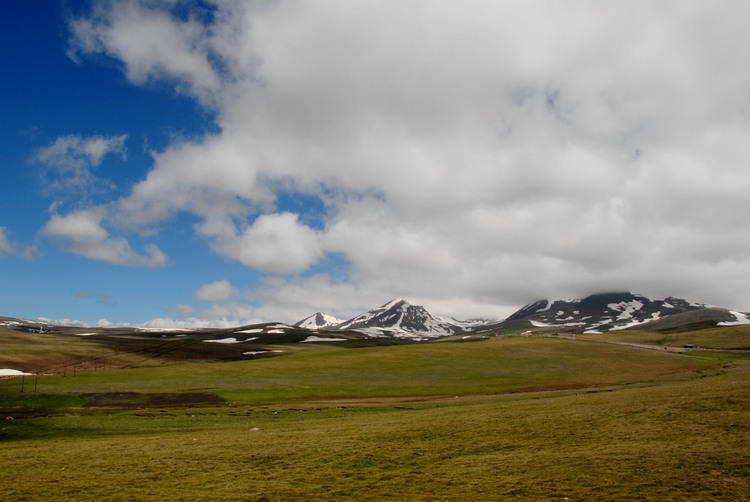 dsc_0940.jpg