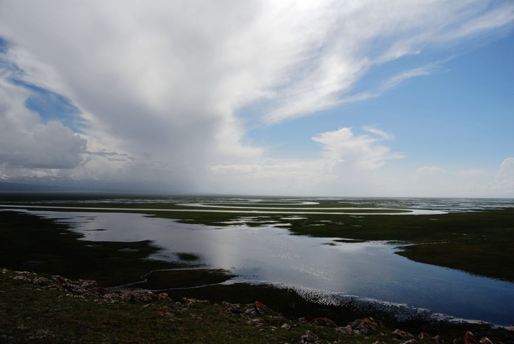 dsc_0978.jpg
