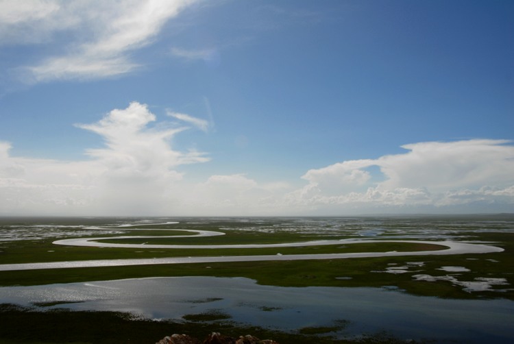 dsc_0998.jpg