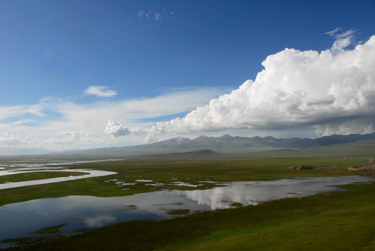 dsc_1065.jpg