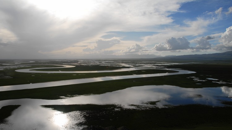 dsc_1093.jpg