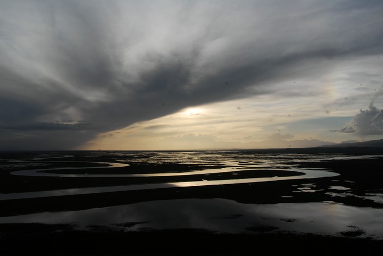 dsc_1130.jpg