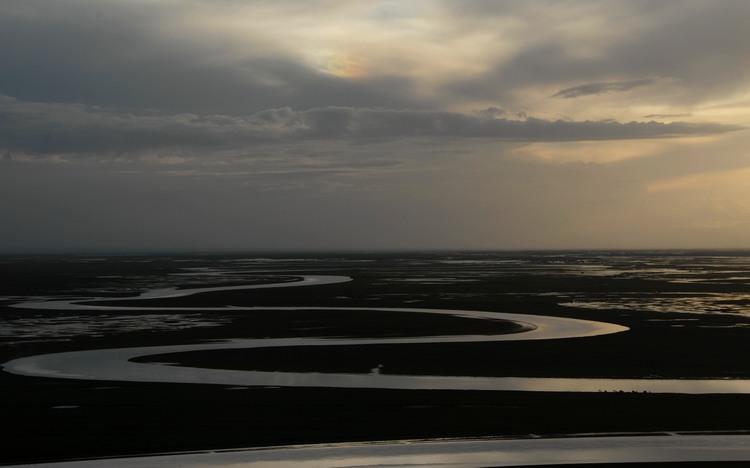 dsc_1150.jpg