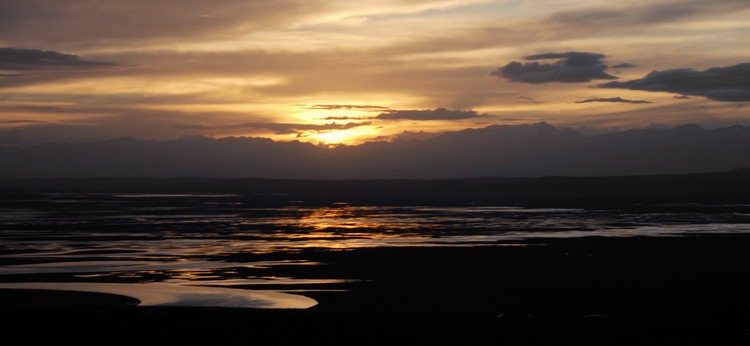 dsc_1184.jpg