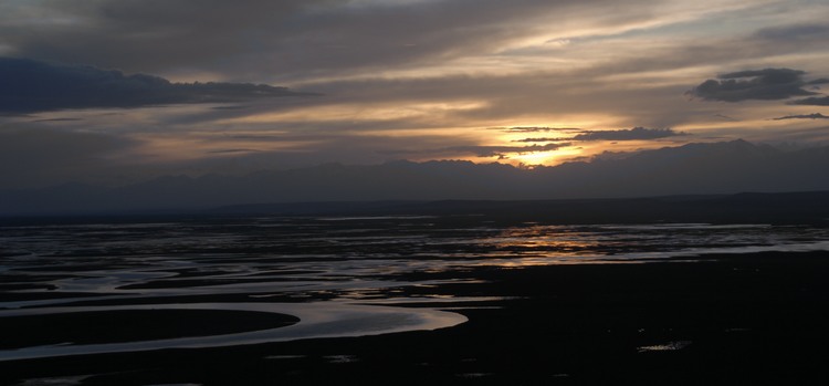 dsc_1185.jpg