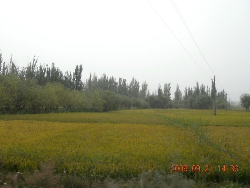 dscn4387.jpg