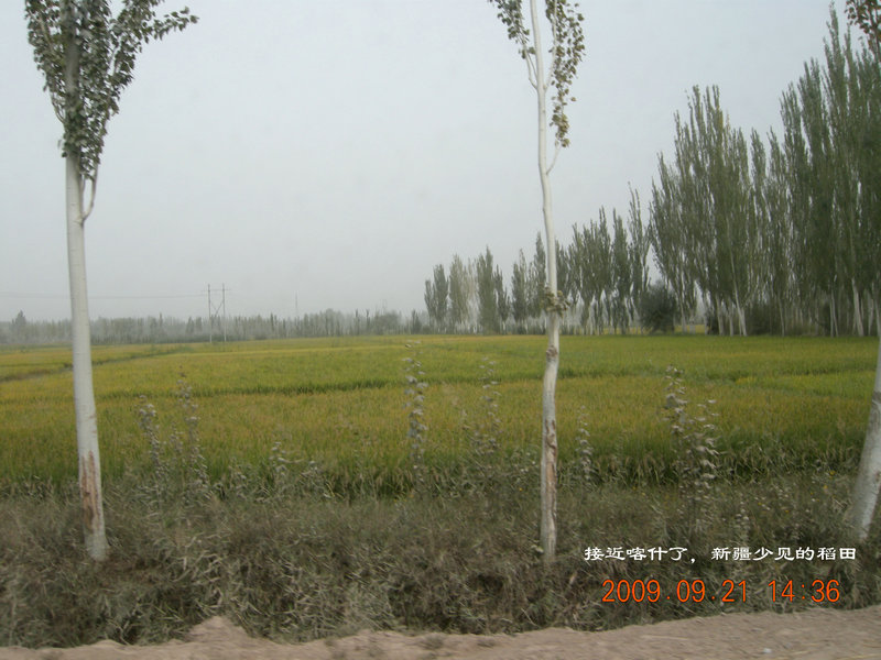 dscn4385.jpg