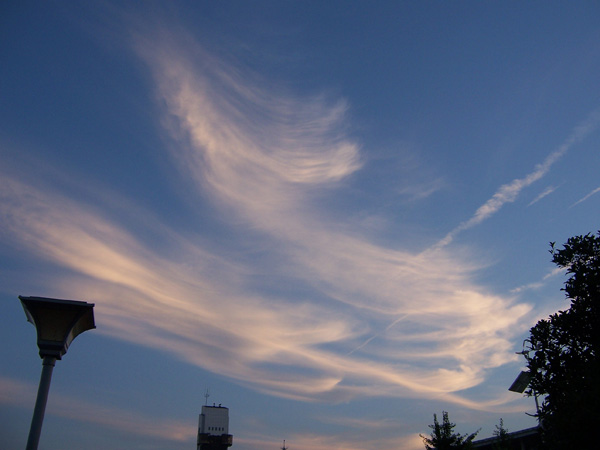 ̲2010.6.30 010.jpg