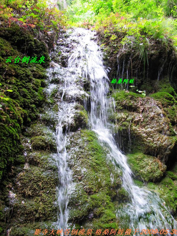 2009691612Ȫ3.jpg