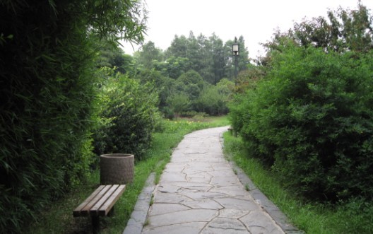 01.jpg