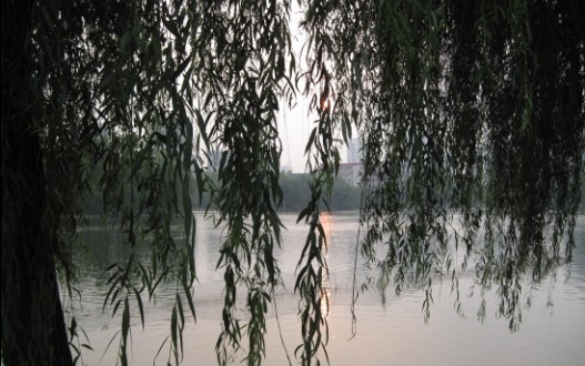 09.jpg