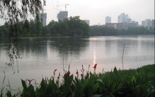 08.jpg