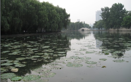 06.jpg