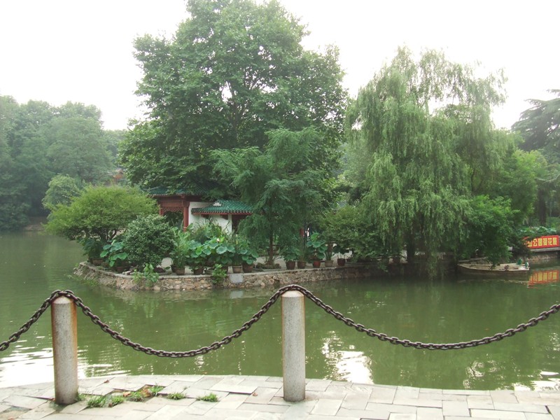 dscf2211.jpg