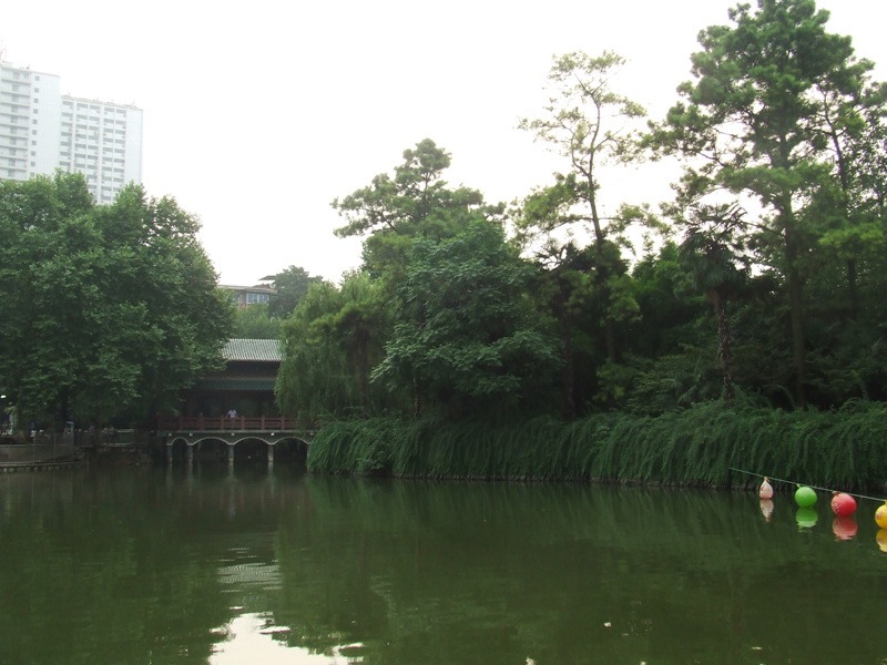 dscf2213.jpg