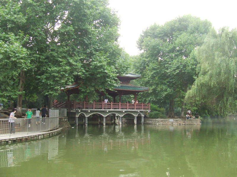 dscf2214.jpg