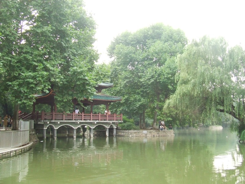 dscf2215.jpg