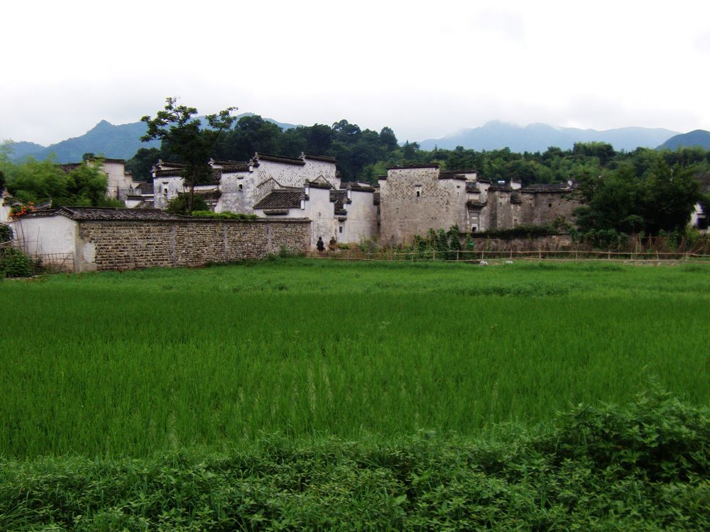 file0325.jpg