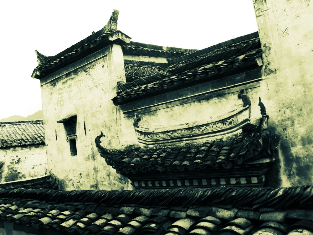 file0241.jpg