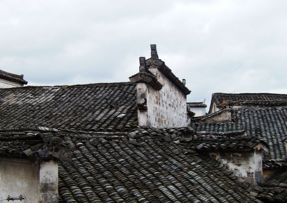 file0245.jpg