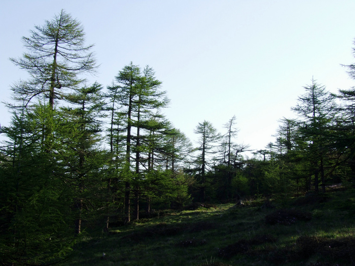 dscf7493.jpg