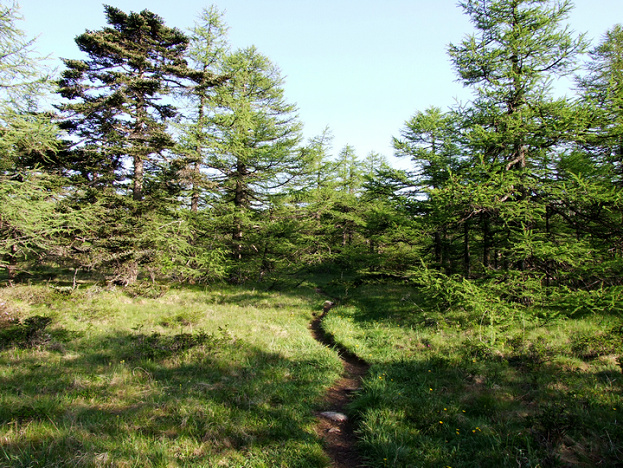 dscf7502.jpg