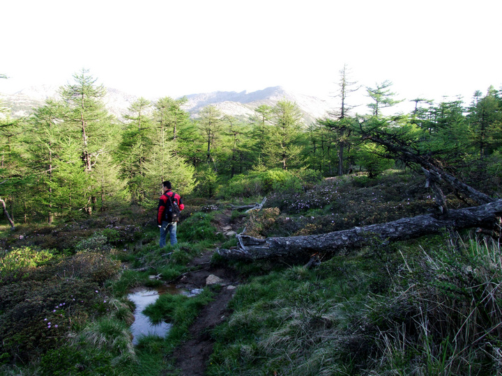 dscf7495.jpg