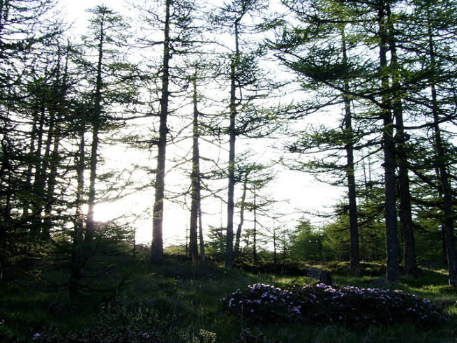 dscf7494.jpg