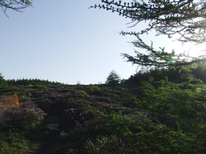 dscf7499.jpg