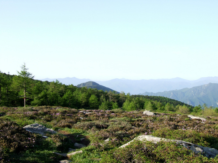 dscf7500.jpg