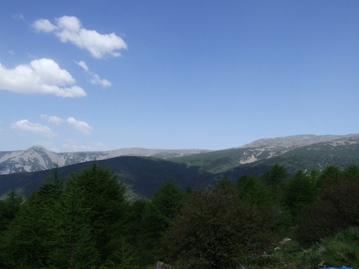 dscf7517.jpg