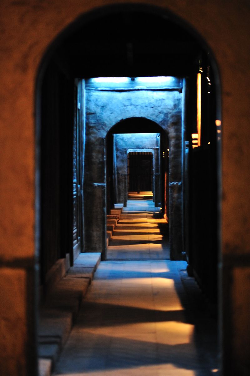 d7n_2788.jpg