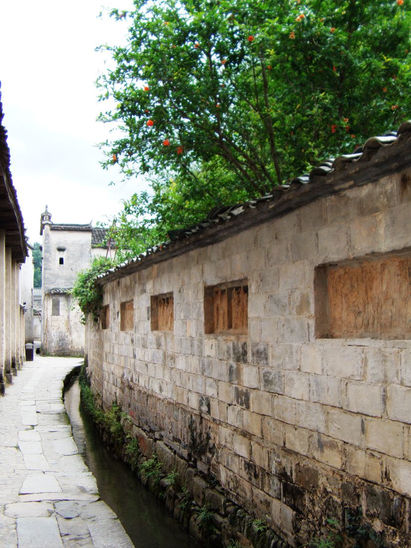 file0259.jpg