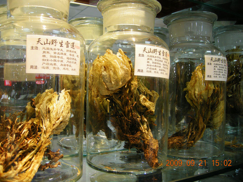 dscn4402.jpg