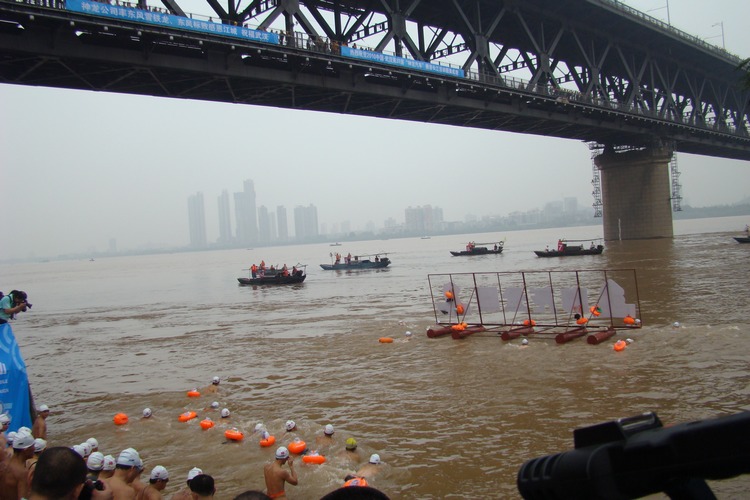dsc07990.jpg