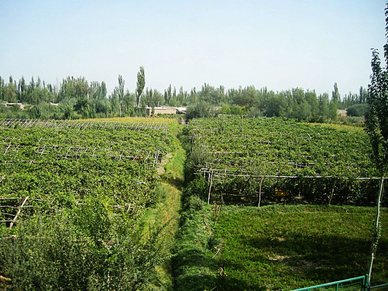 dscn4437.jpg