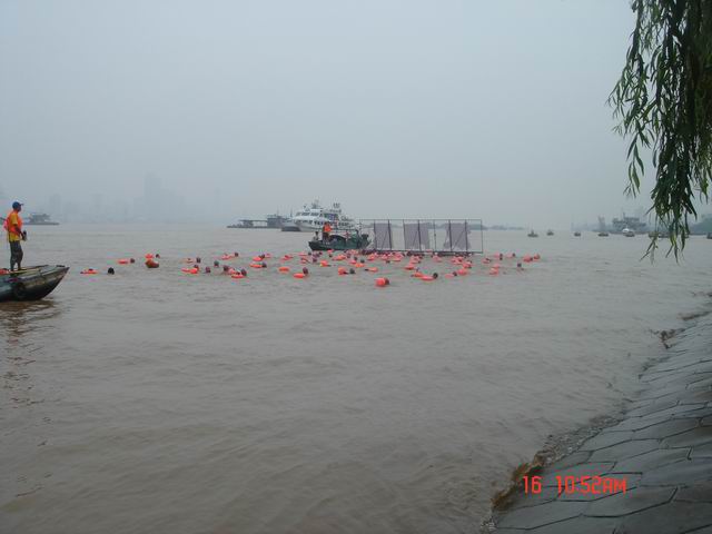 dsc08450.jpg