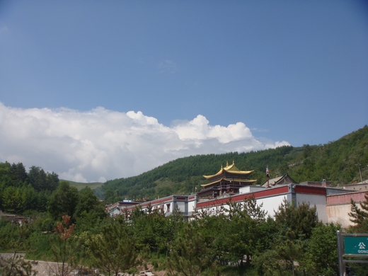 neo_img_dsc06756.jpg