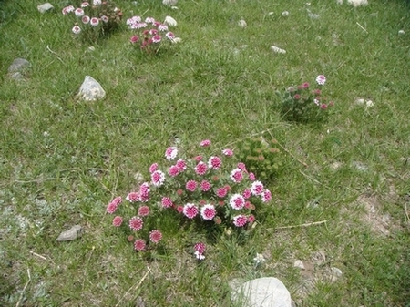neo_img_dsc06887.jpg
