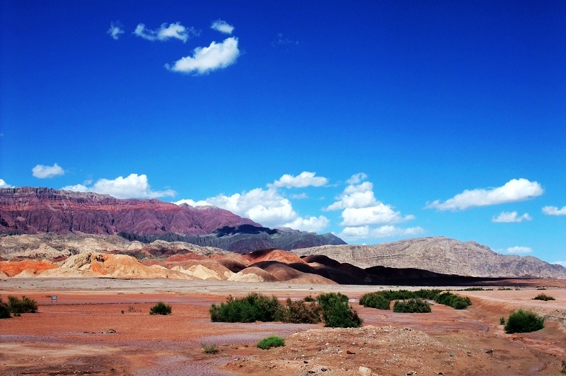 2dscf5568.jpg