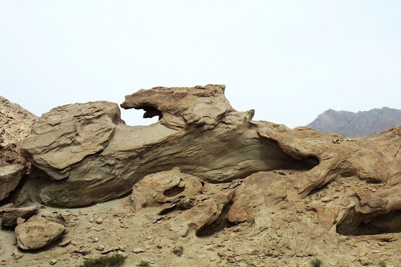 2dscf5459.jpg