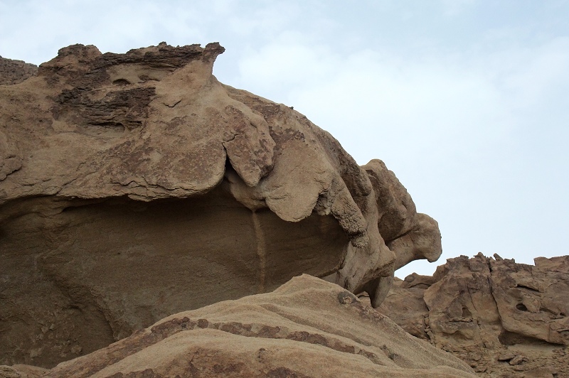 2dscf5469.jpg
