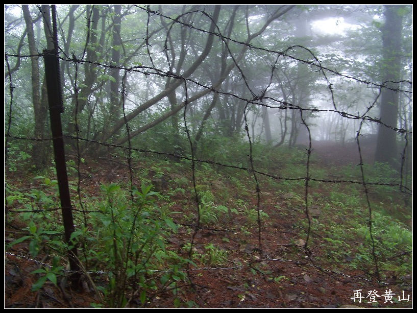 2010年0523黄山q白鹅山庄 (13).jpg